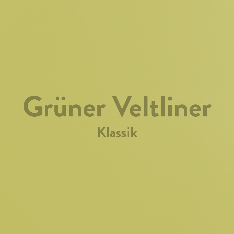 Grüner Veltliner Klassik