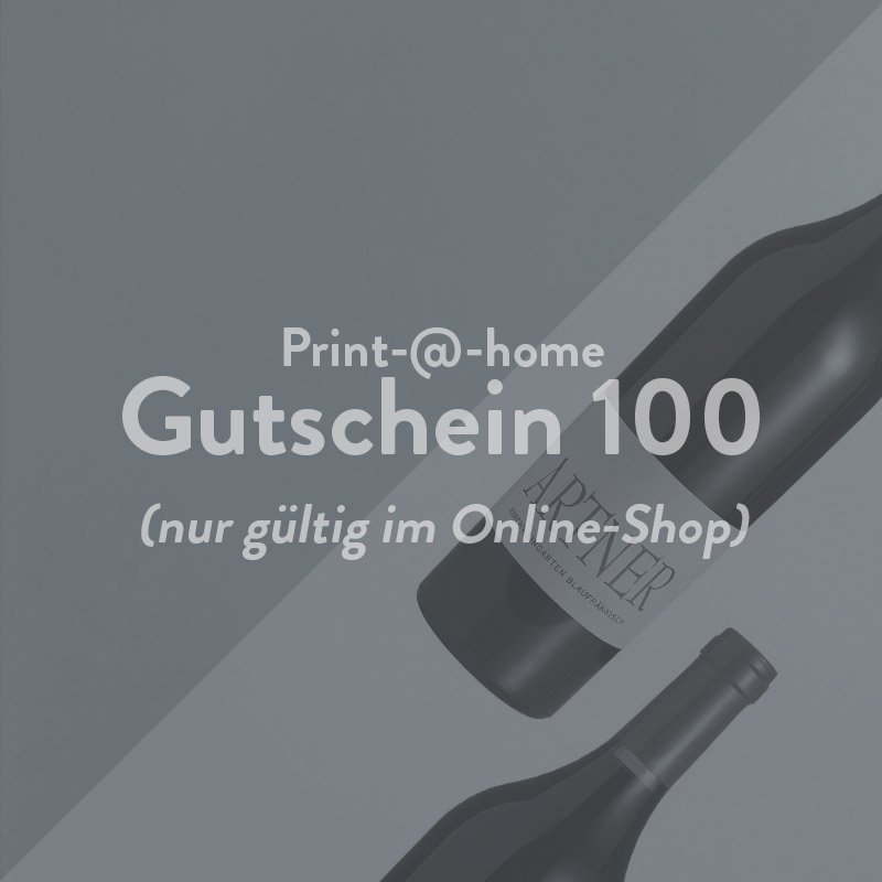 Online Shop Gutschein 100