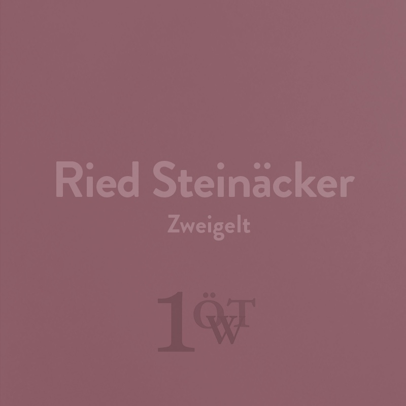 Ried Steinäcker Zweigelt