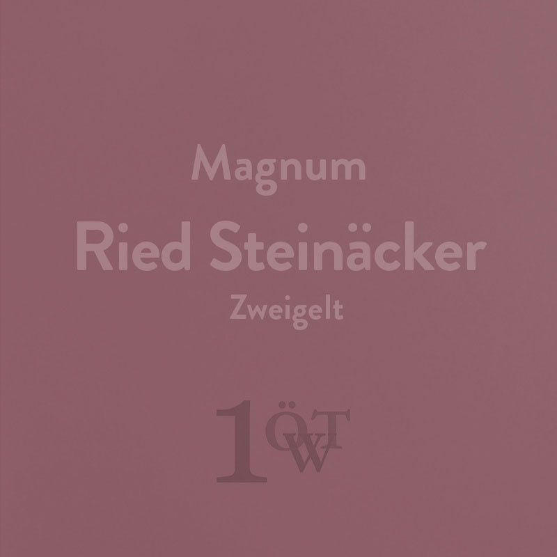 Ried Steinäcker Zweigelt Magnum